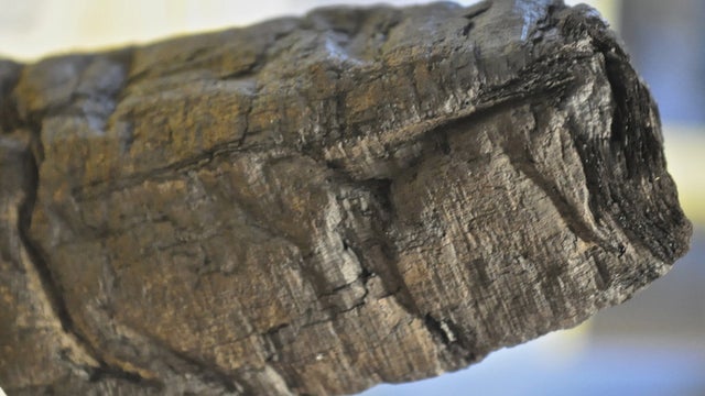 scrolls-herculaneum.jpg 