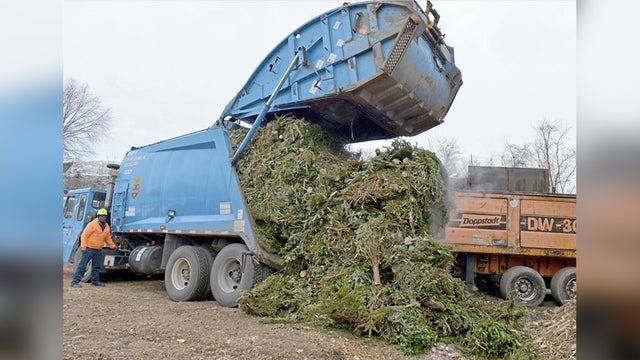 christmas-trees-recycling-program-.jpg 