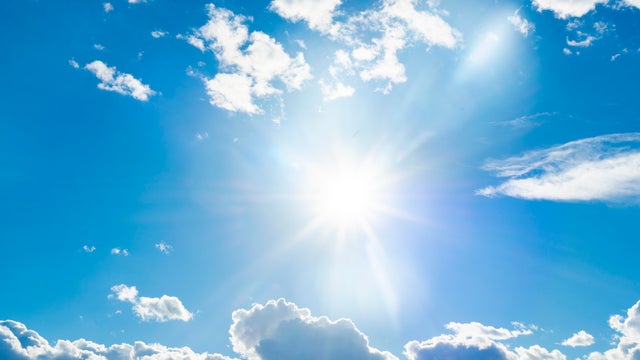 Sunny day 